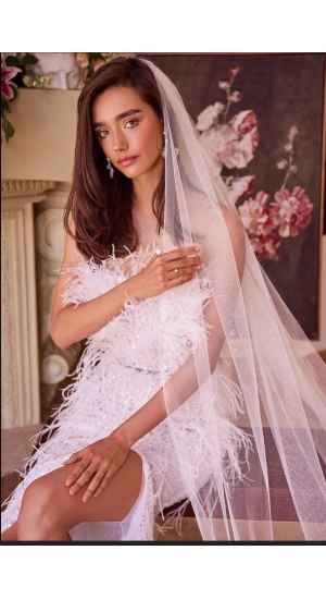 Slør med glitter , glimmer med kam amerikansk Slør med glitter , glimmer med kam amerikansk