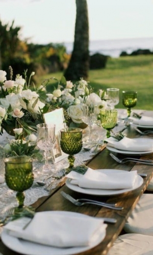 Udlejning af glas, blomstervæg osv