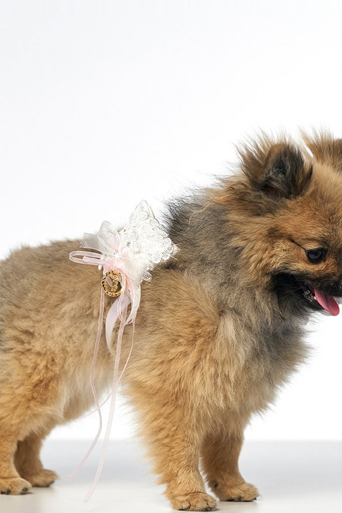 Hundetilbehør ivory/pink | bridalstore.dk