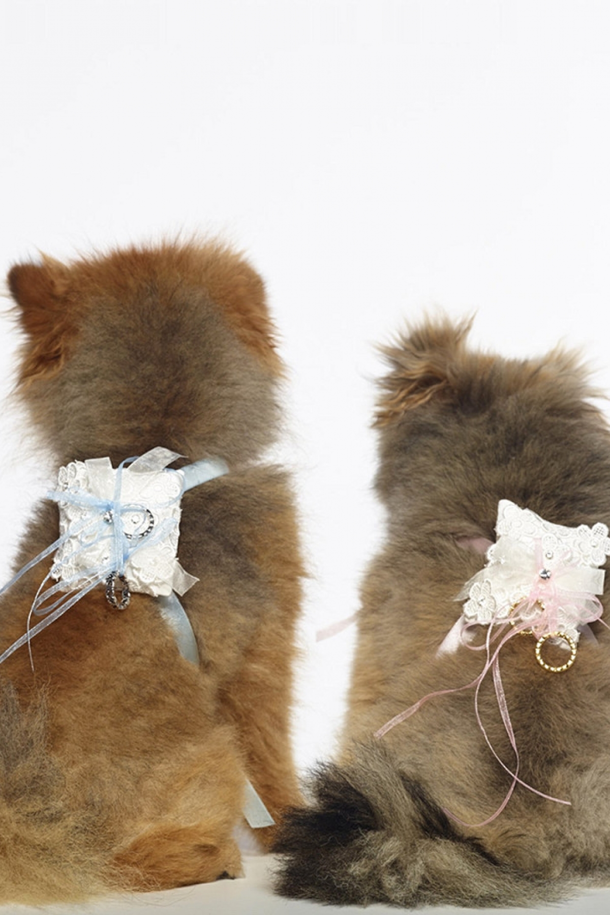 Hundetilbehør ivory/pink | bridalstore.dk