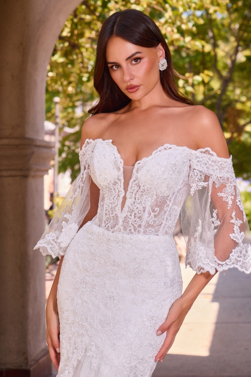Lang brudekjole CD659W i blonde med illusionsryg | bridalstore.dk