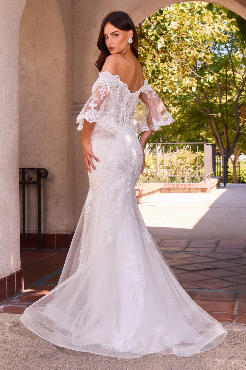 Lang brudekjole CD659W i blonde med illusionsryg | bridalstore.dk