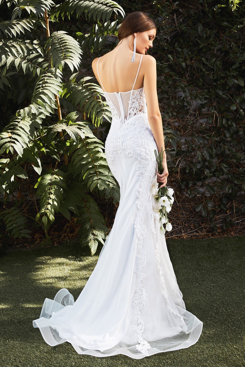Lang brudekjole CD937W i blonde på tyl med illusionsoverdel | bridalstore.dk