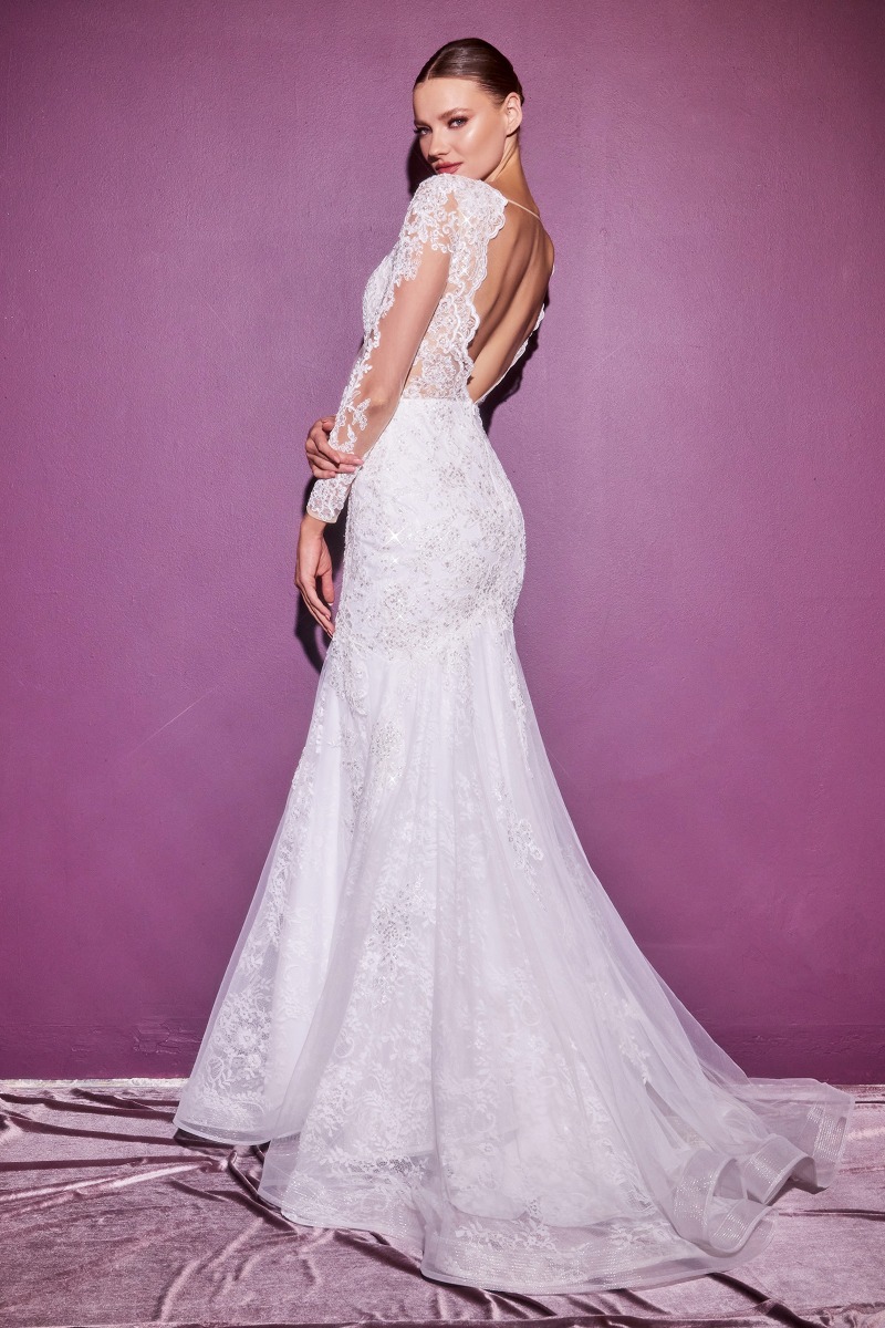 Lang brudekjole CD951W i blonde med illusionsryg | bridalstore.dk