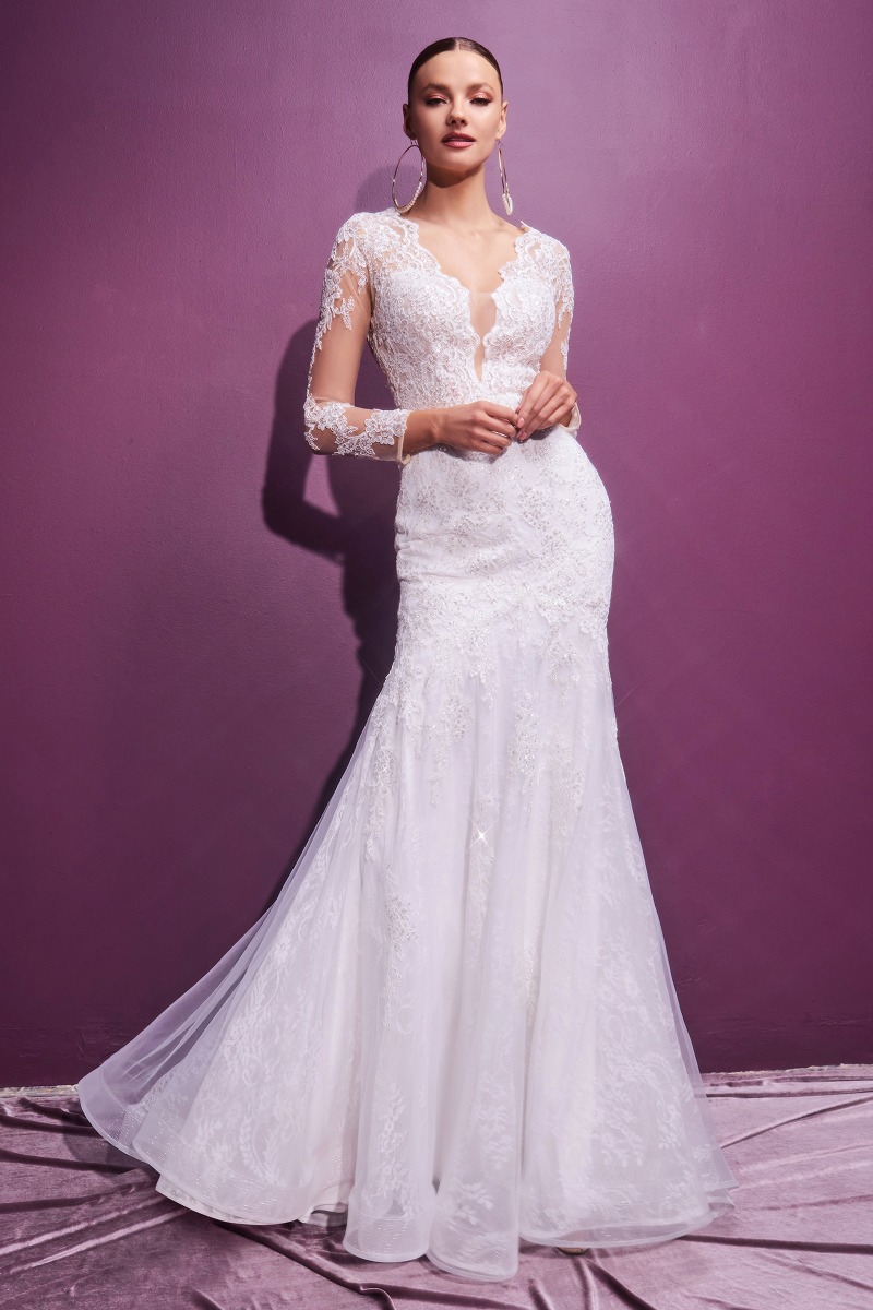 Lang brudekjole CD951W i blonde med illusionsryg | bridalstore.dk