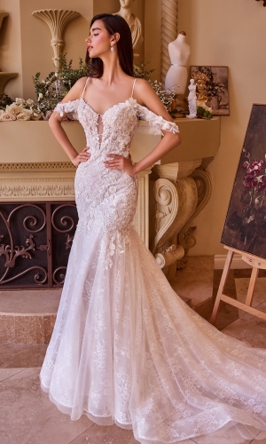 Lang brudekjole WL051 i blonde med blomsterbroderi | bridalstore.dk