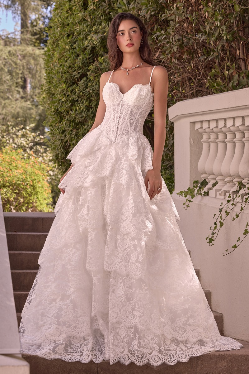 Lang brudekjole WL076 i tyl med blonde med lagdelt skørt | bridalstore.dk