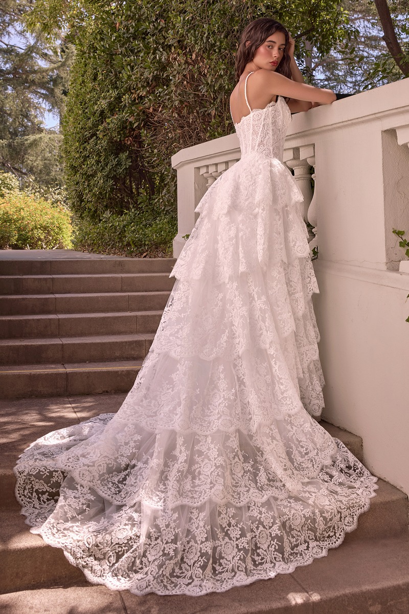 Lang brudekjole WL076 i tyl med blonde med lagdelt skørt | bridalstore.dk