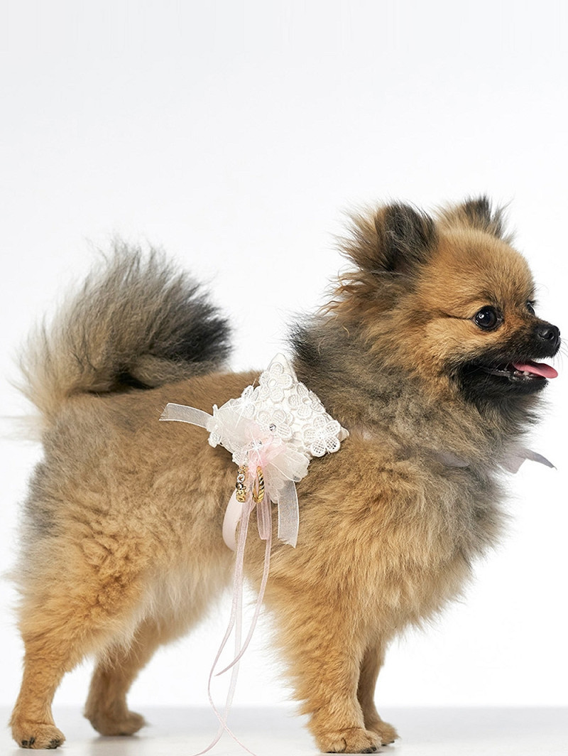Hundetilbehør ivory/pink | bridalstore.dk