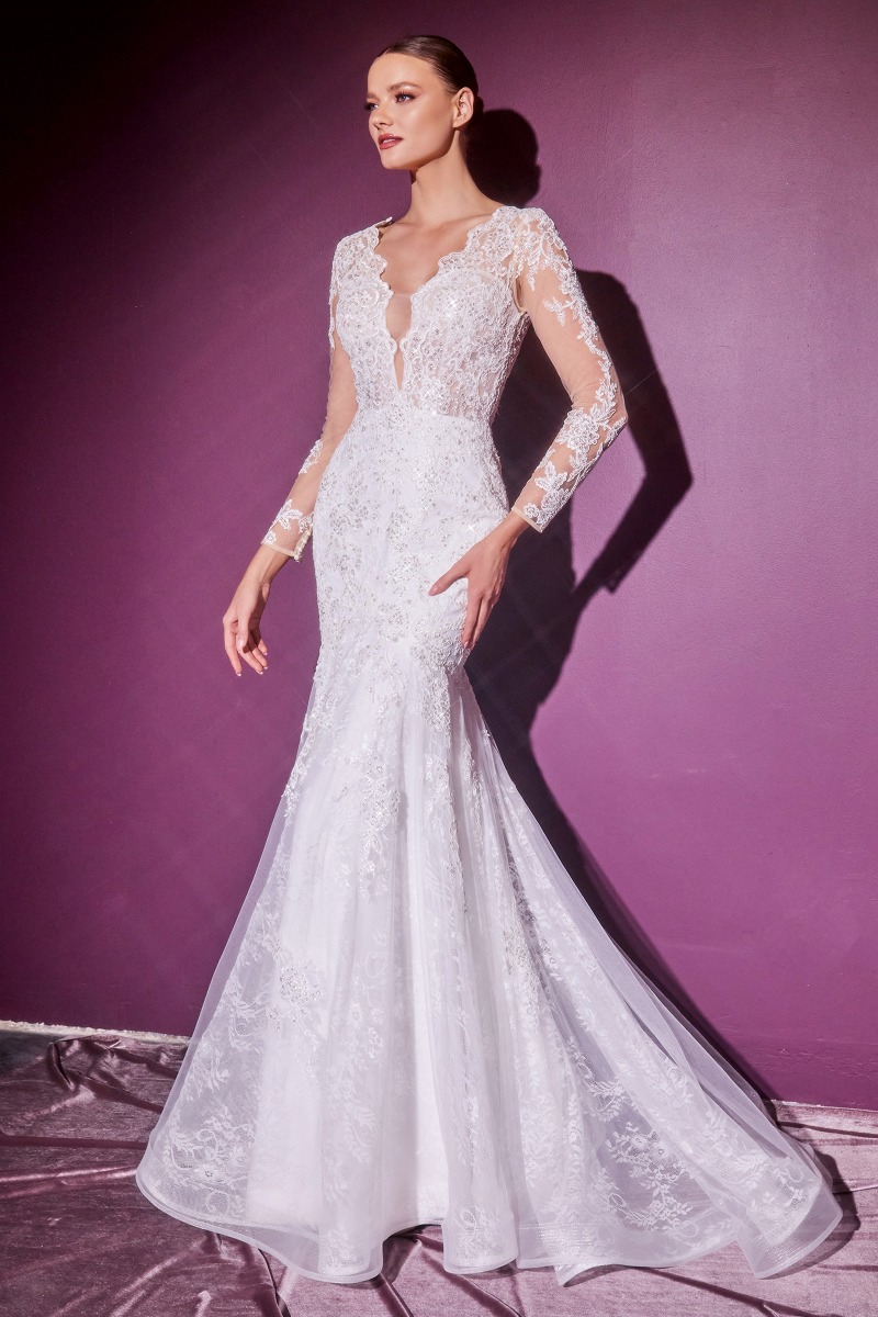 Lang brudekjole CD951W i blonde med illusionsryg | bridalstore.dk