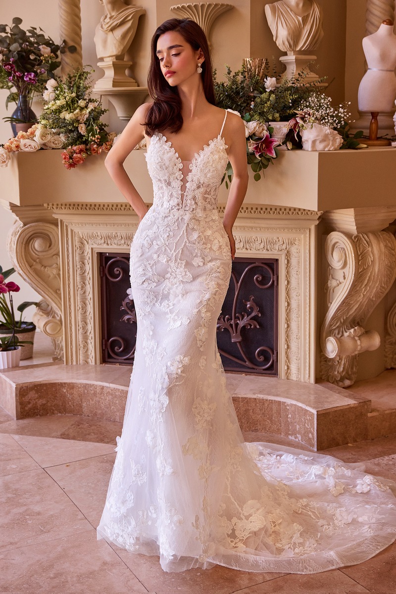 Lang brudekjole WL053 i blonde med langt slæb | bridalstore.dk