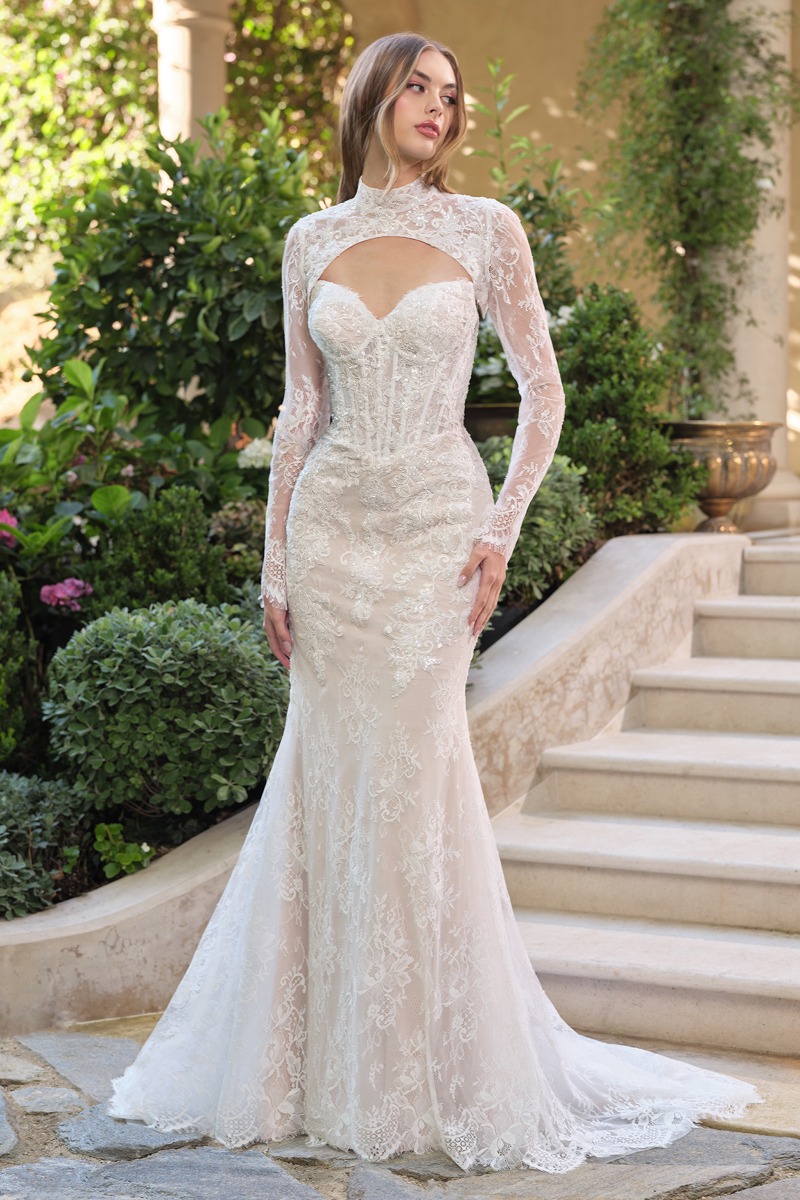 Lang brudekjole WL071 i blonde med illusionsoverdel | bridalstore.dk
